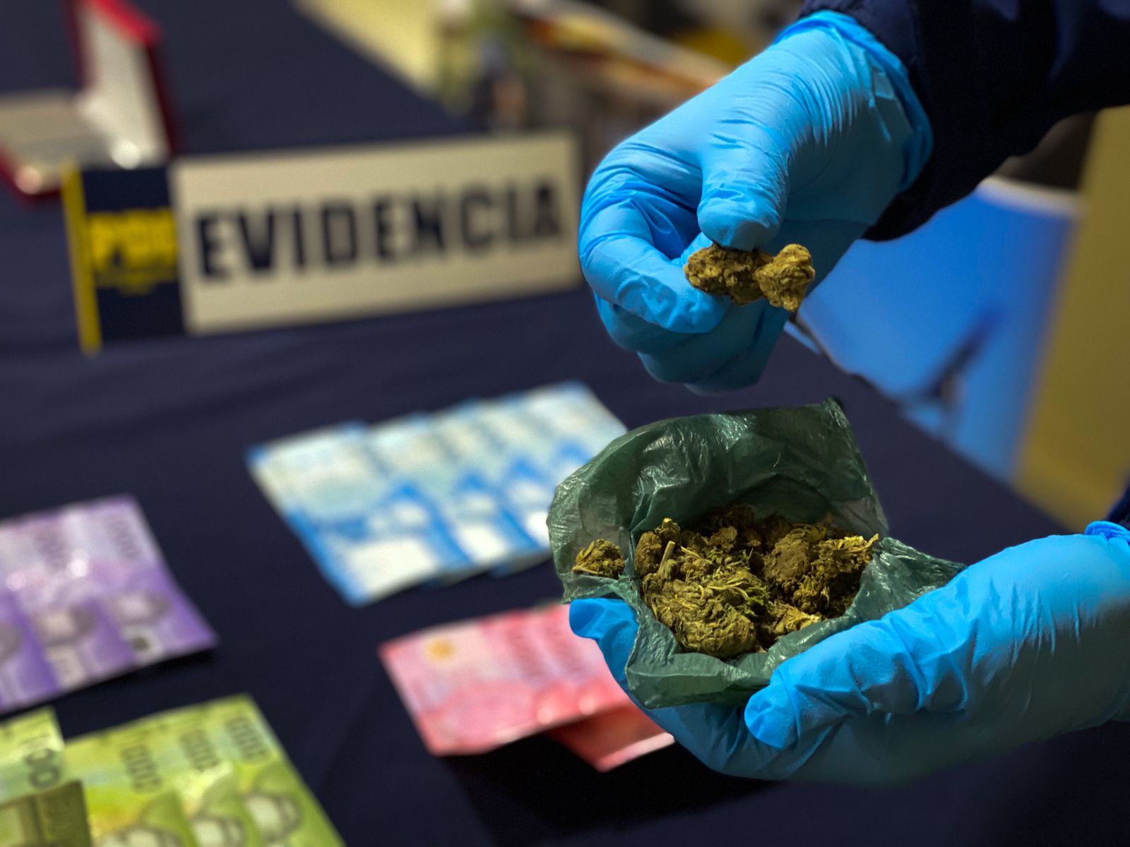 Casi 16 mil dosis de droga fuera de circulación en Aysén gracias al trabajo en investigaciones especializadas sobre microtráfico
